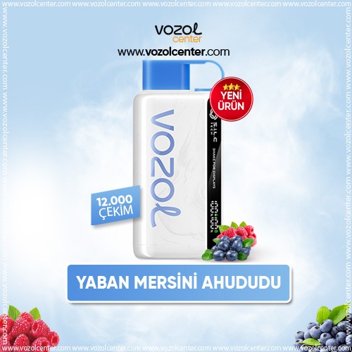 Vozol 12000 Puff Blueberry Storm